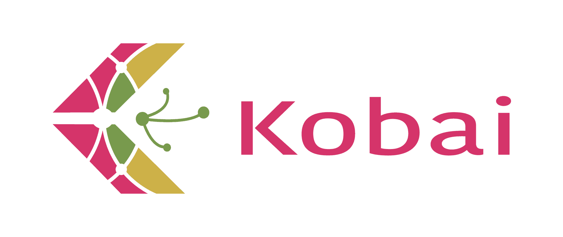 https://www.kobai.io/